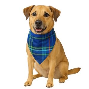 Wondershop One Size Fits Most - Tartan Plaid Blue & Green Dog Bandana